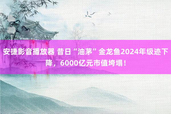 安捷影音播放器 昔日“油茅”金龙鱼2024年级迹下降，6000亿元市值垮塌！