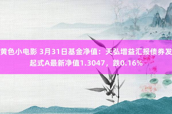 黄色小电影 3月31日基金净值：天弘增益汇报债券发起式A最新净值1.3047，跌0.16%