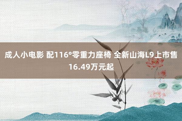 成人小电影 配116°零重力座椅 全新山海L9上市售16.49万元起