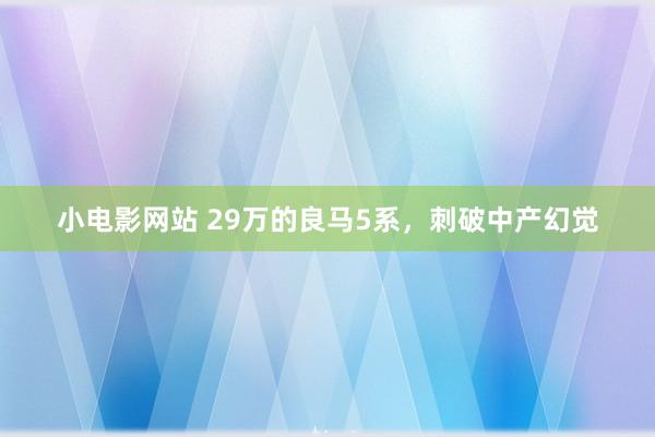 小电影网站 29万的良马5系，刺破中产幻觉