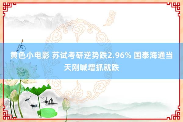 黄色小电影 苏试考研逆势跌2.96% 国泰海通当天刚喊增抓就跌