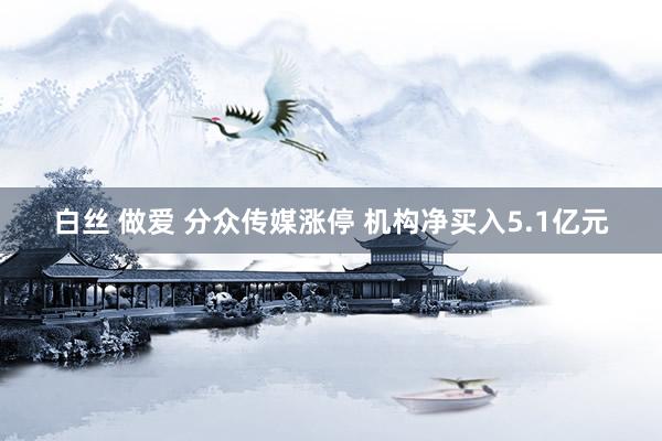 白丝 做爱 分众传媒涨停 机构净买入5.1亿元