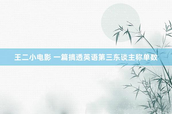 王二小电影 一篇搞透英语第三东谈主称单数