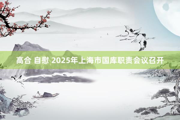 高合 自慰 2025年上海市国库职责会议召开
