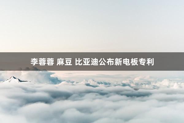 李蓉蓉 麻豆 比亚迪公布新电板专利