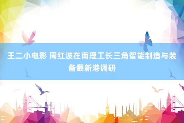 王二小电影 周红波在南理工长三角智能制造与装备翻新港调研